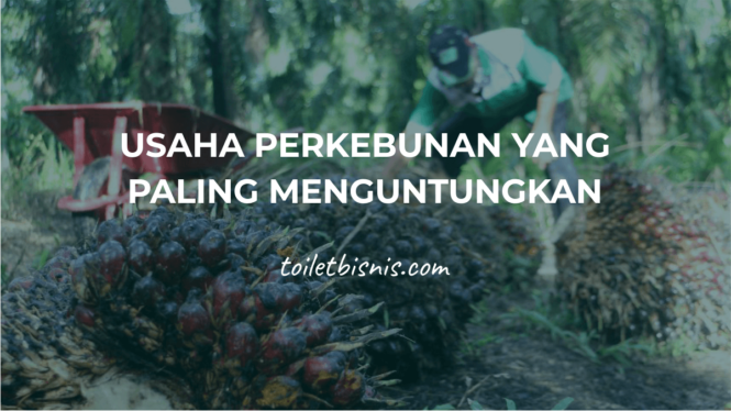 15 Usaha Perkebunan Yang Paling Menguntungkan Terbaru 2021
